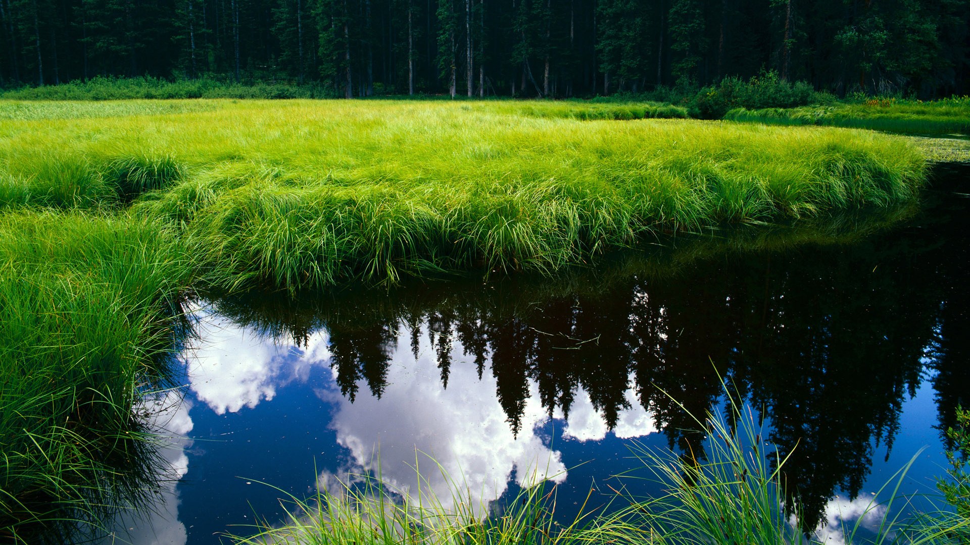 中国篮协推动数字化管理，赛事信息更透明，中国篮协大数据库