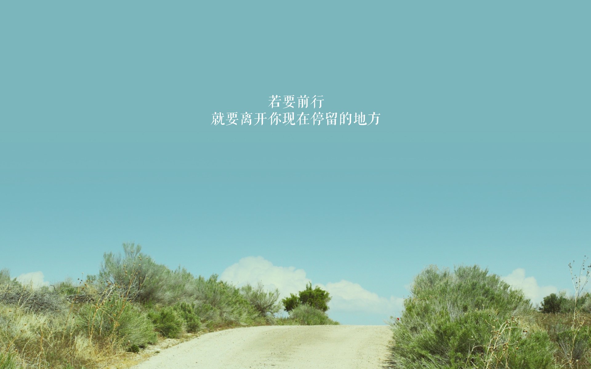 大学生运动会:年轻的竞技激情,大学里运动会