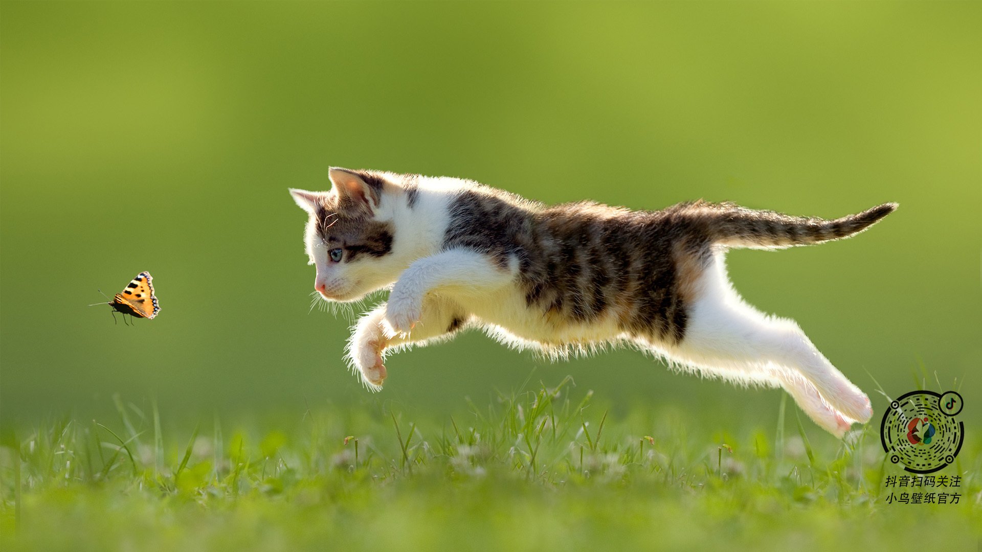 奥运击剑项目再添一金，雷声门徒传承出彩，击剑冠军雷声的太太