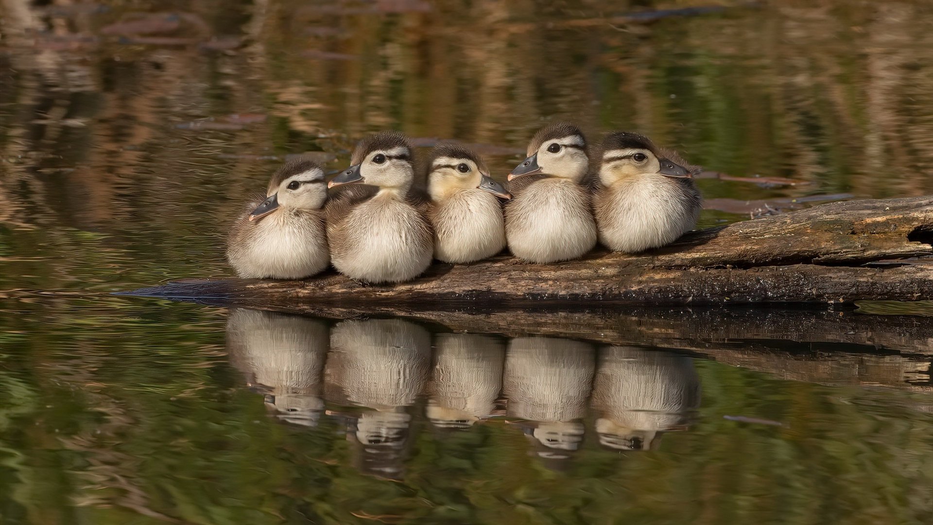 KAIYUNAPP-史上最火爆的“跨界合作”——体育、娱乐、科技的完美融合，跨界合作有哪些