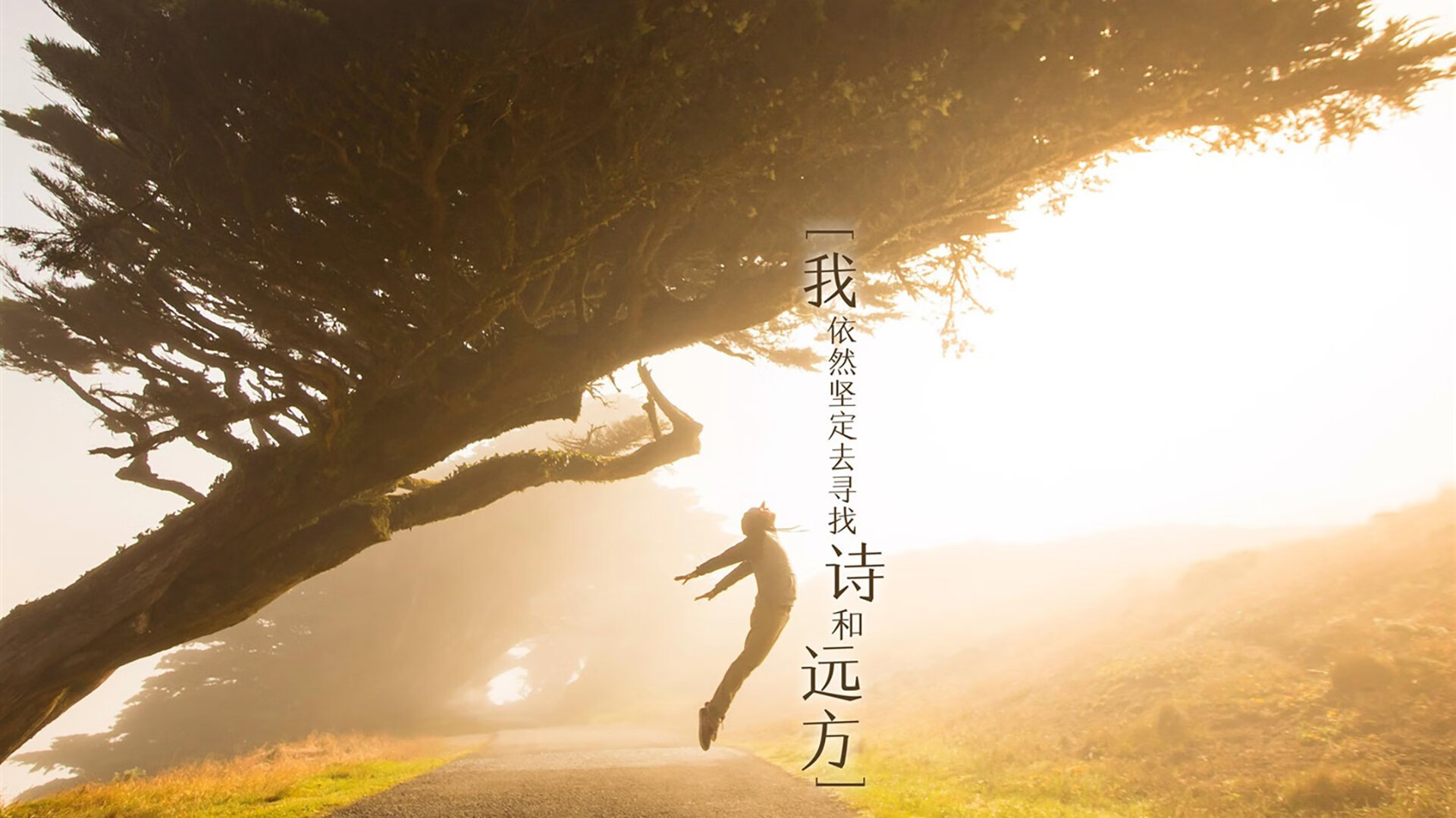 开云体育在线登入-大学生运动会：年轻的竞技激情，大学里运动会